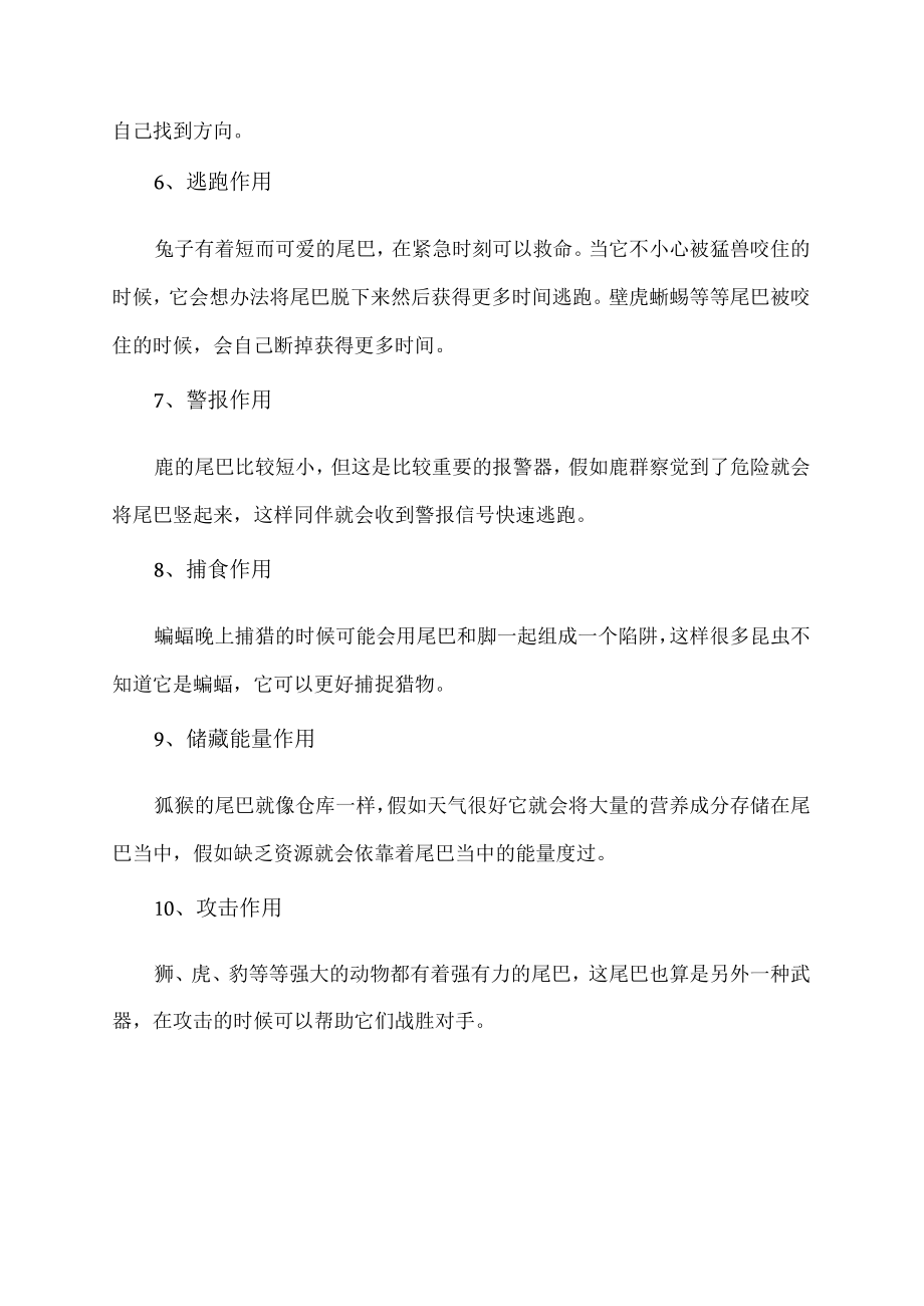 动物的尾巴有什么用.docx_第2页