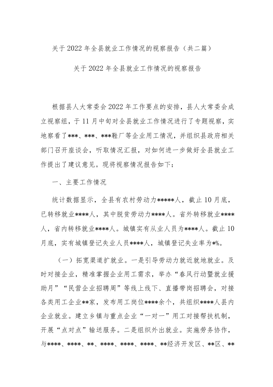 关于2022年全县就业工作情况的视察报告(共二篇).docx_第1页