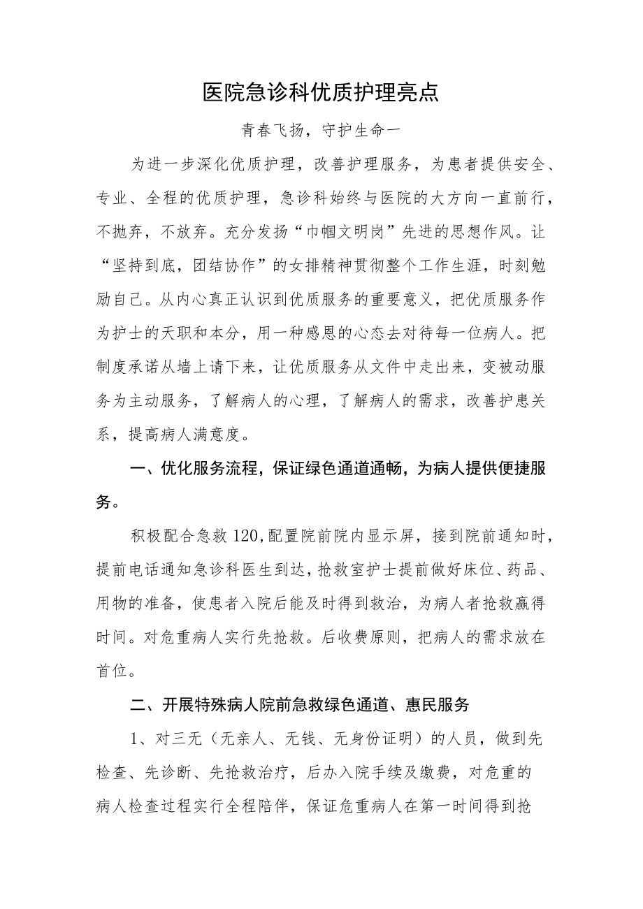 医院急诊科优质护理亮点.docx_第1页