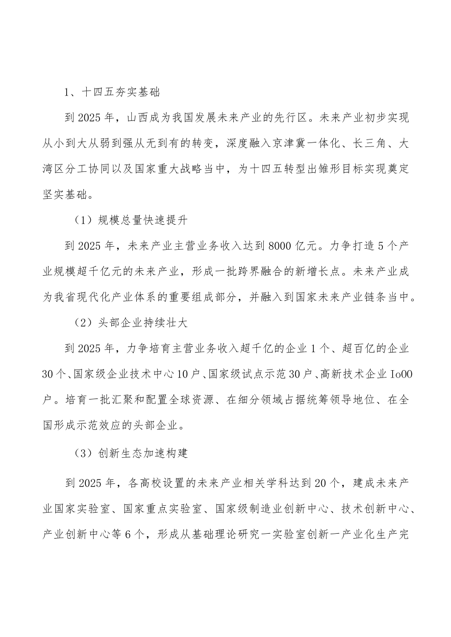 氢能产业发展路径行动计划.docx_第3页