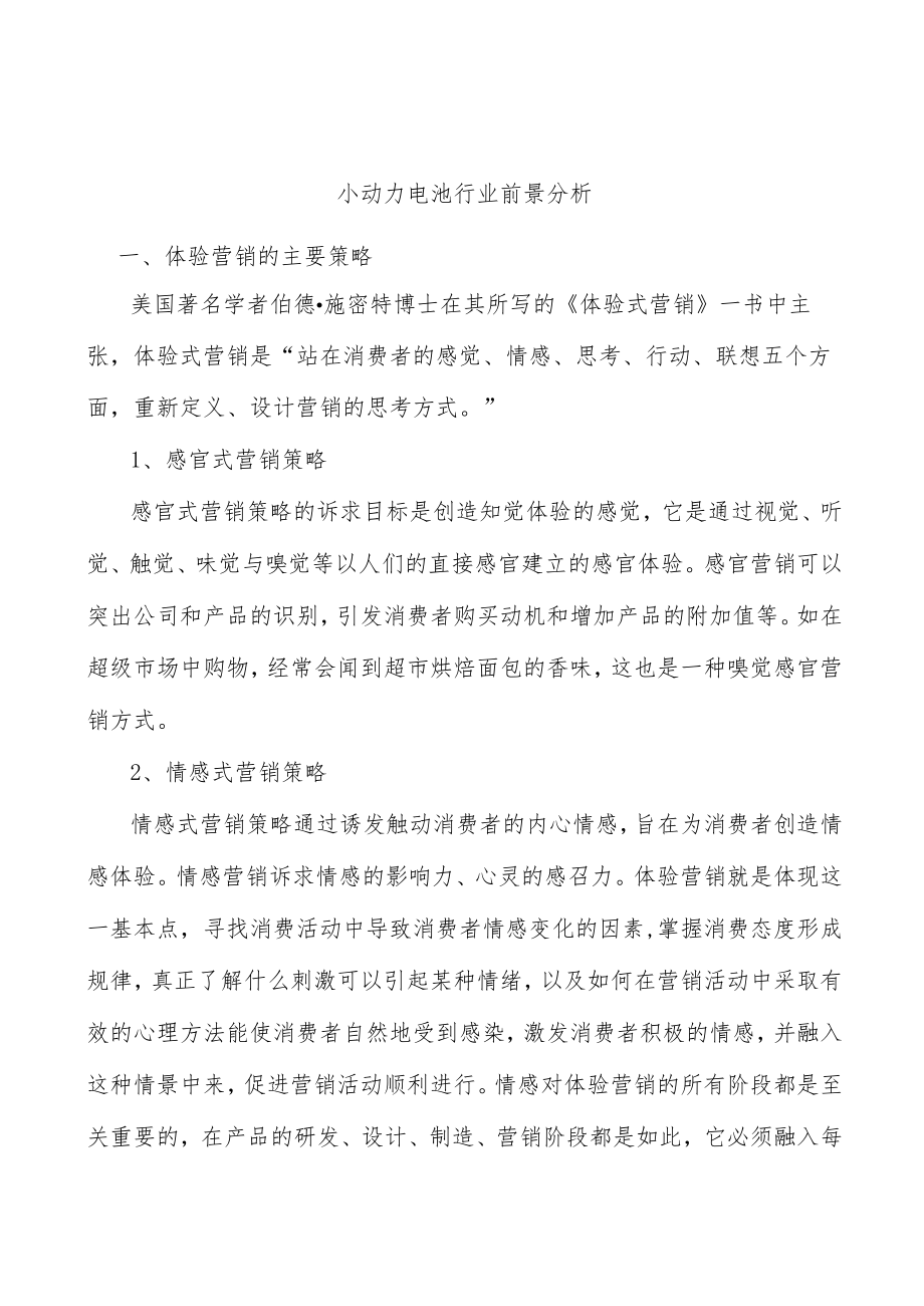 小动力电池行业前景分析.docx_第1页