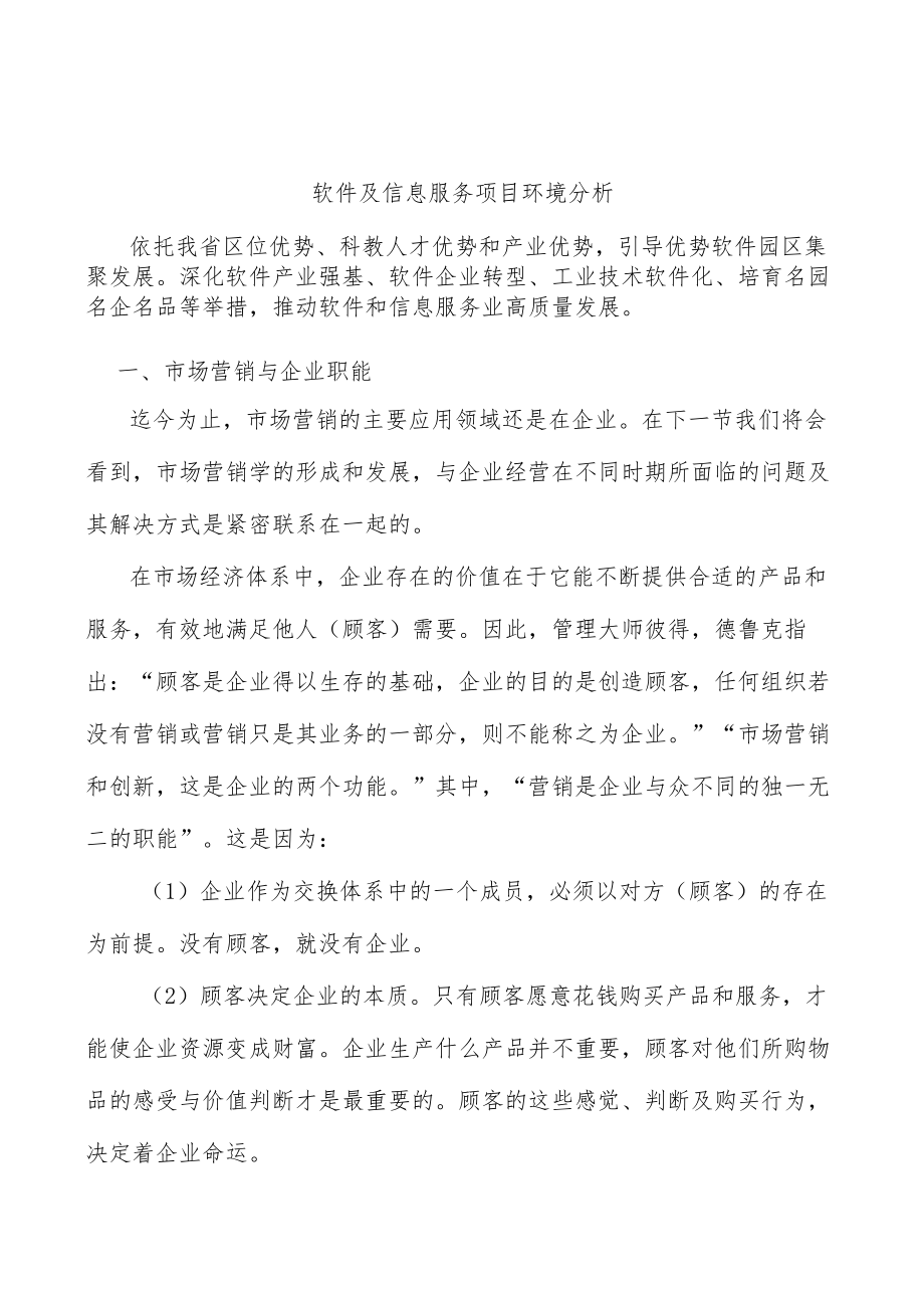 软件及信息服务项目环境分析.docx_第1页