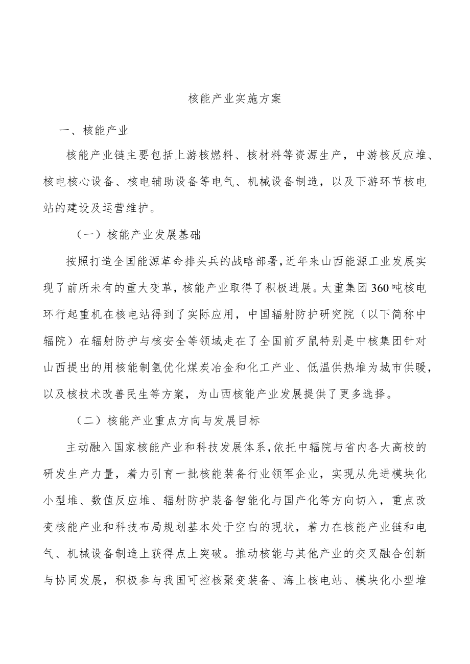 核能产业实施方案.docx_第1页