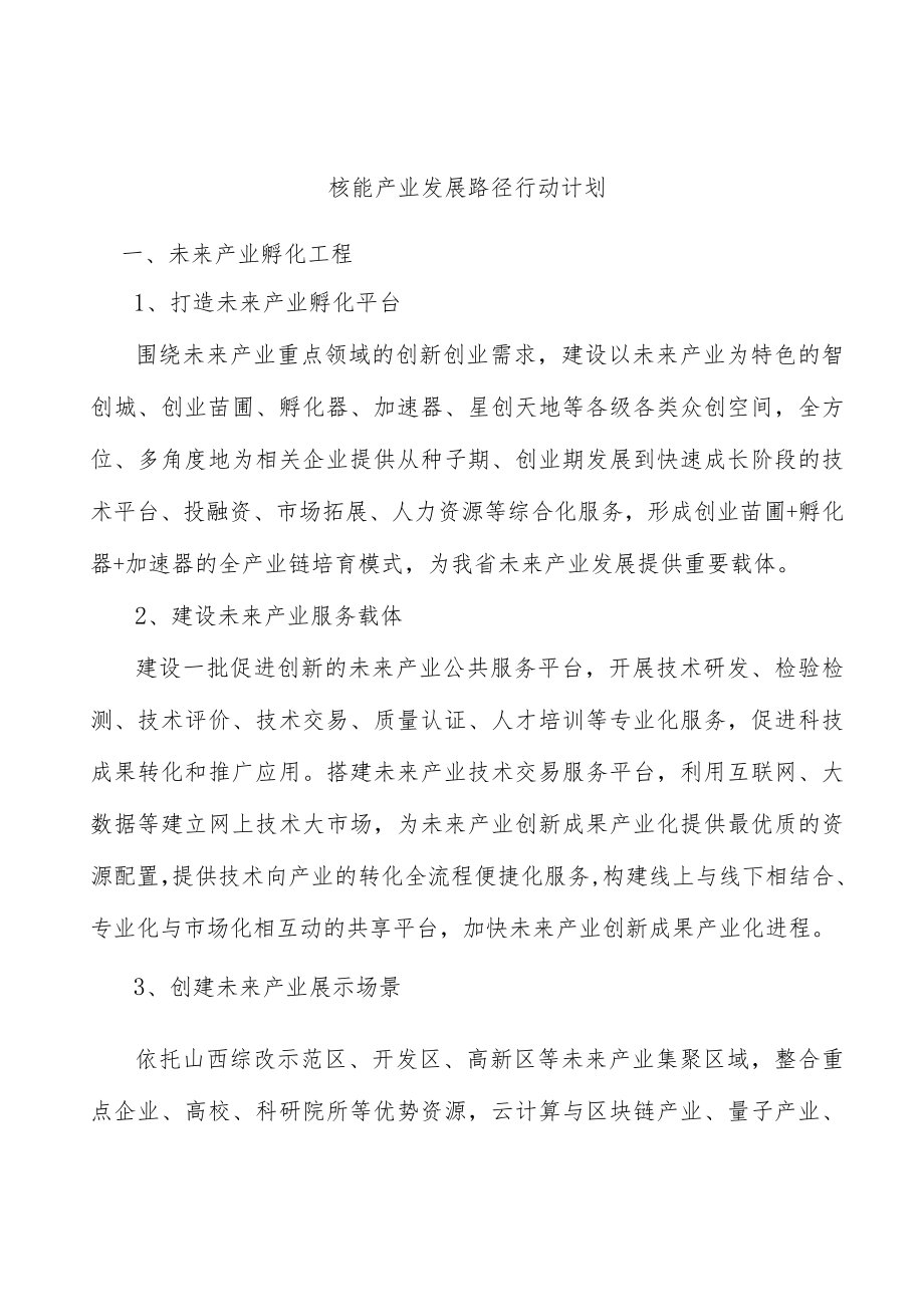 核能产业发展路径行动计划.docx_第1页