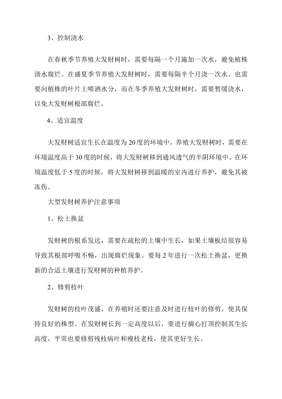 大的发财树要怎样养护和管理.docx_第2页