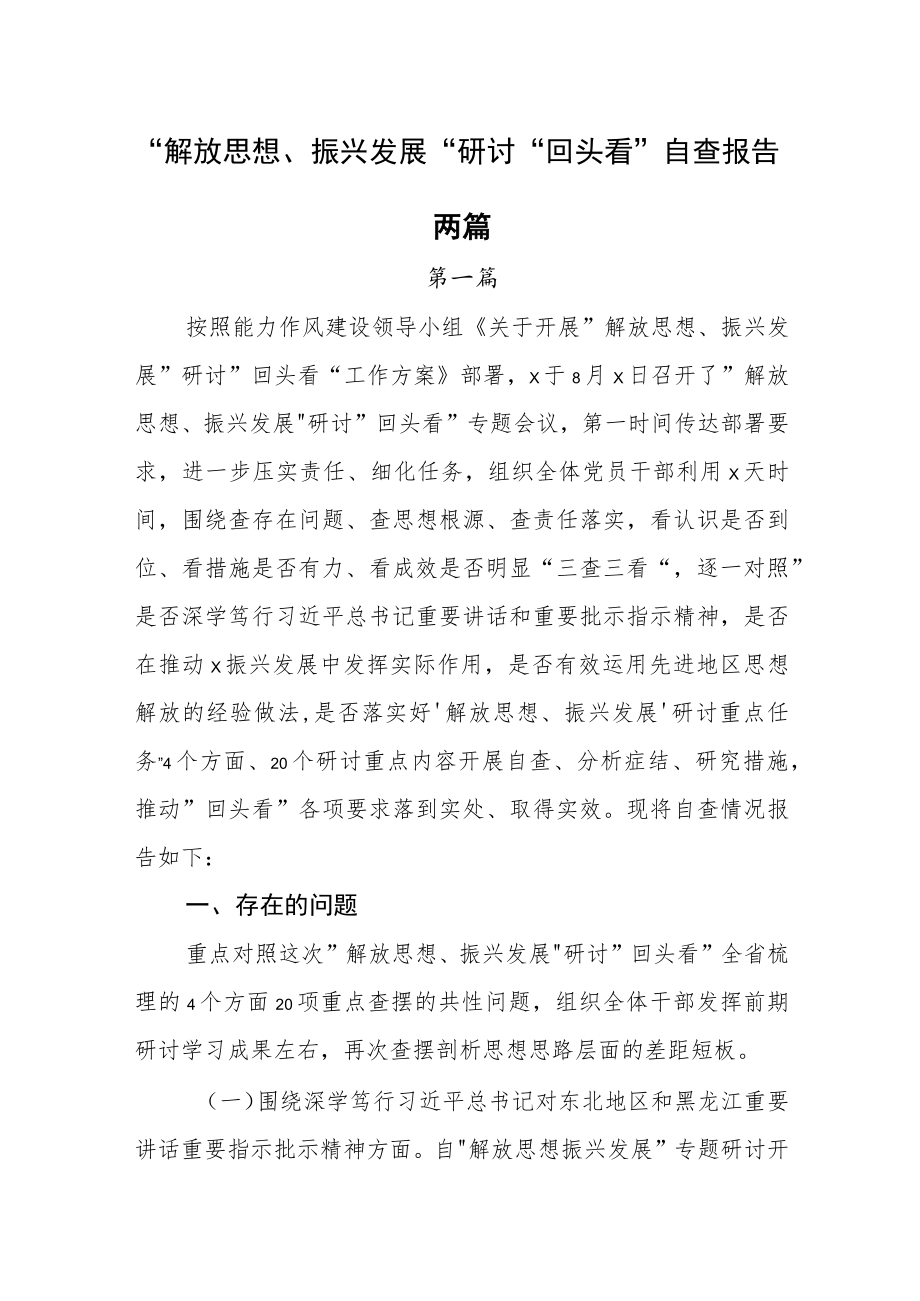 解放思想振兴发展研讨回头看自查报告两篇.docx_第1页