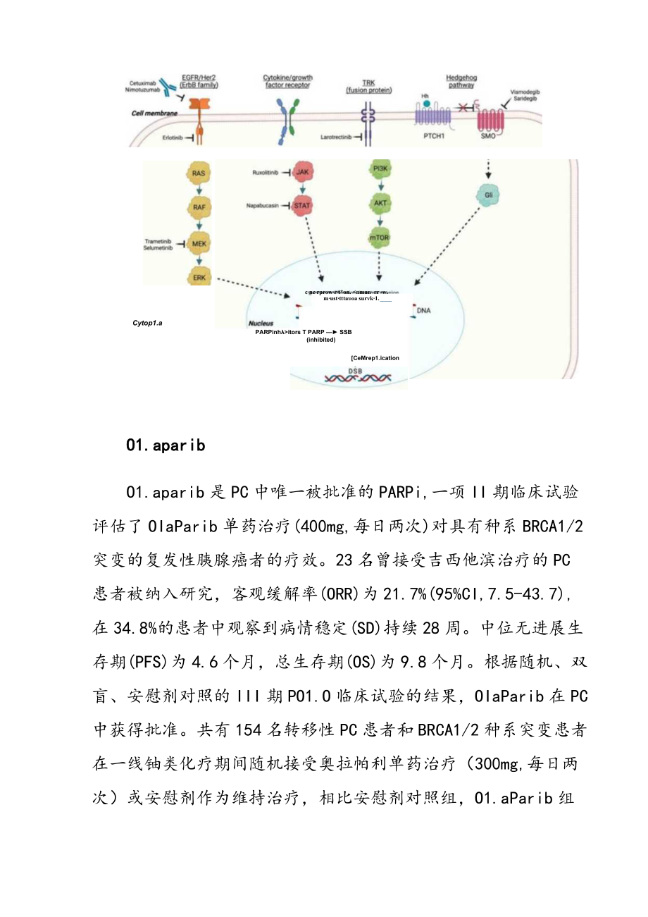 胰腺癌个性化医疗的现状和未来.docx_第3页