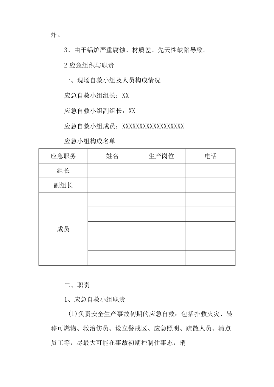 肉类加工公司安全生产蒸汽锅炉爆炸事故现场处置方案.docx_第2页