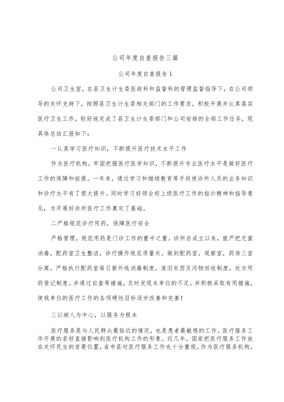 公司年度自查报告.docx_第1页