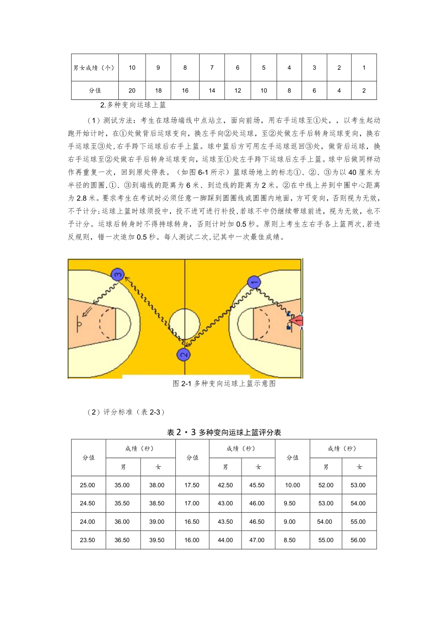 体育专业体育专项测试方法与评分标准.docx_第3页