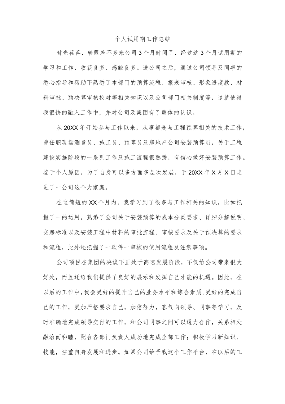 个人试用期工作总结.docx_第1页