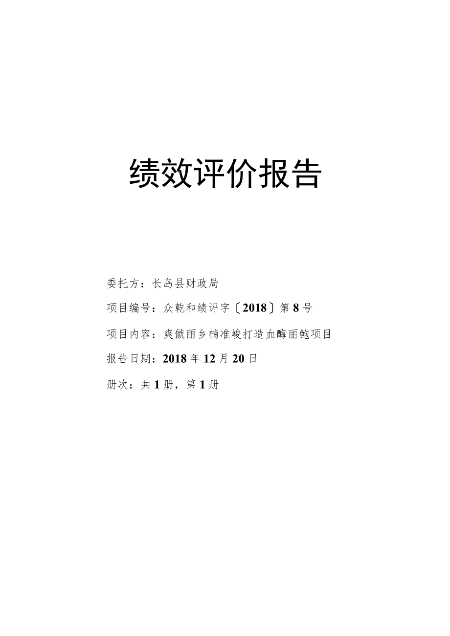 绩效评价报告.docx_第1页