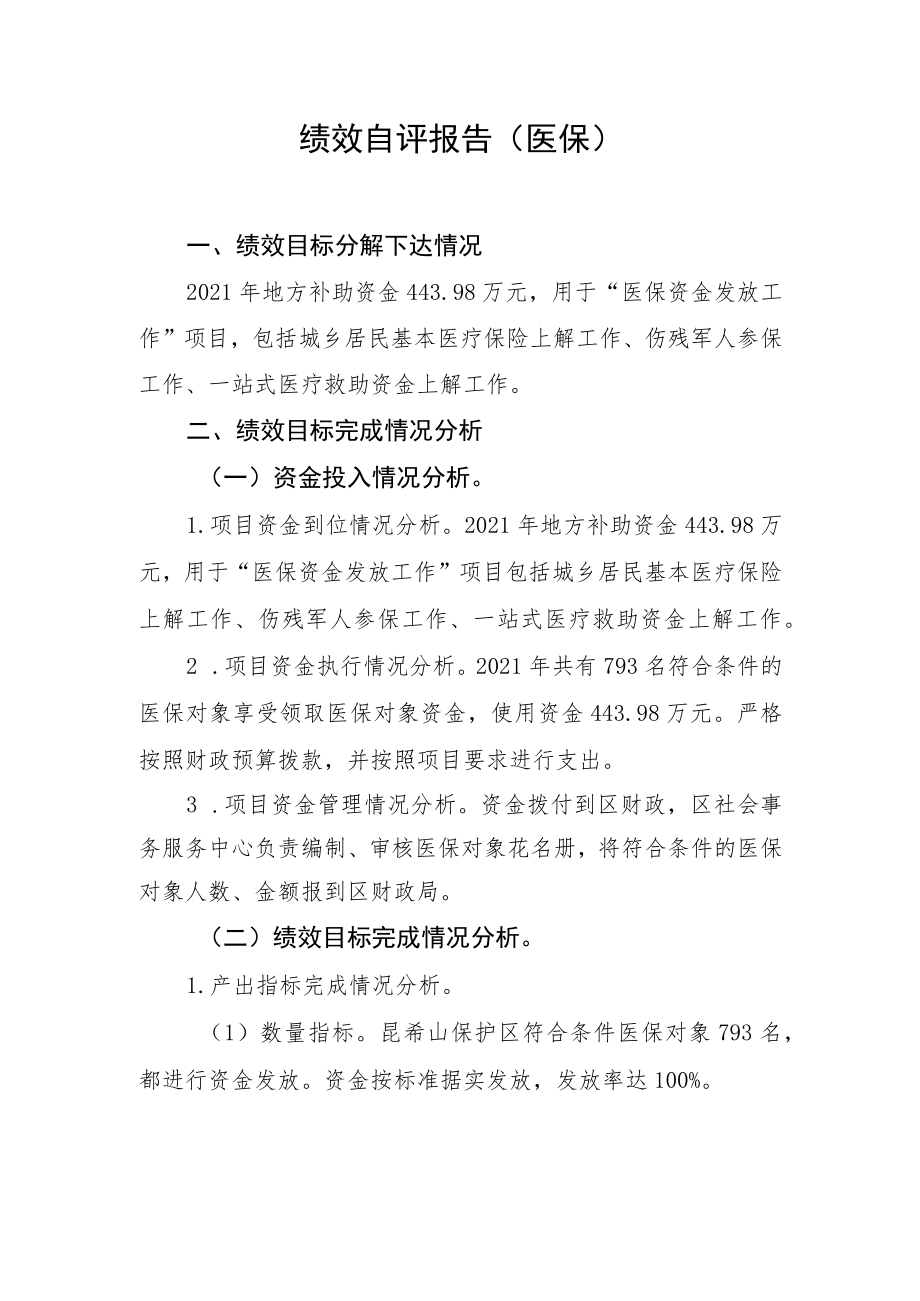 绩效自评报告医保.docx_第1页