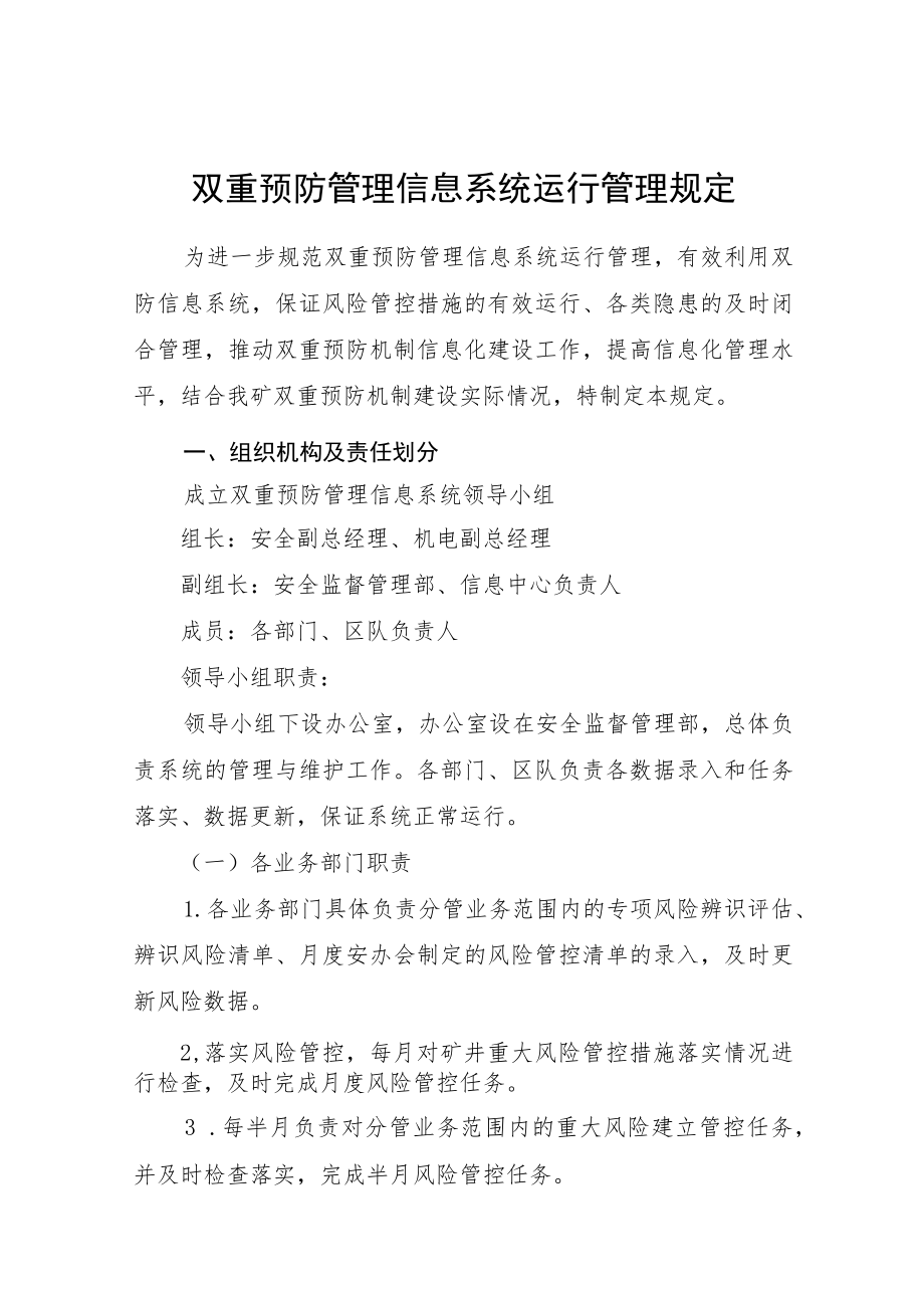 双重预防管理信息系统运行管理规定.docx_第1页