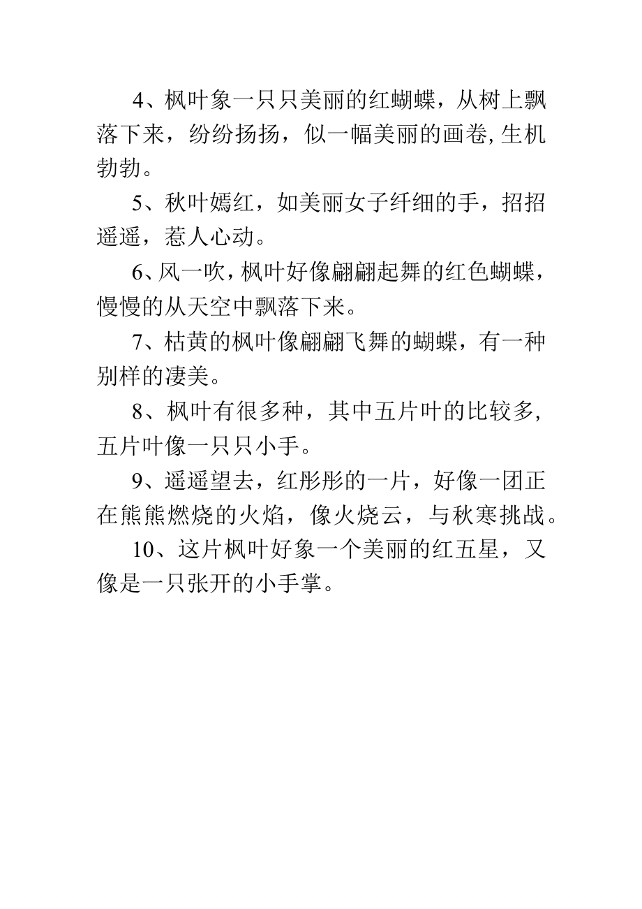 枫树像什么.docx_第2页