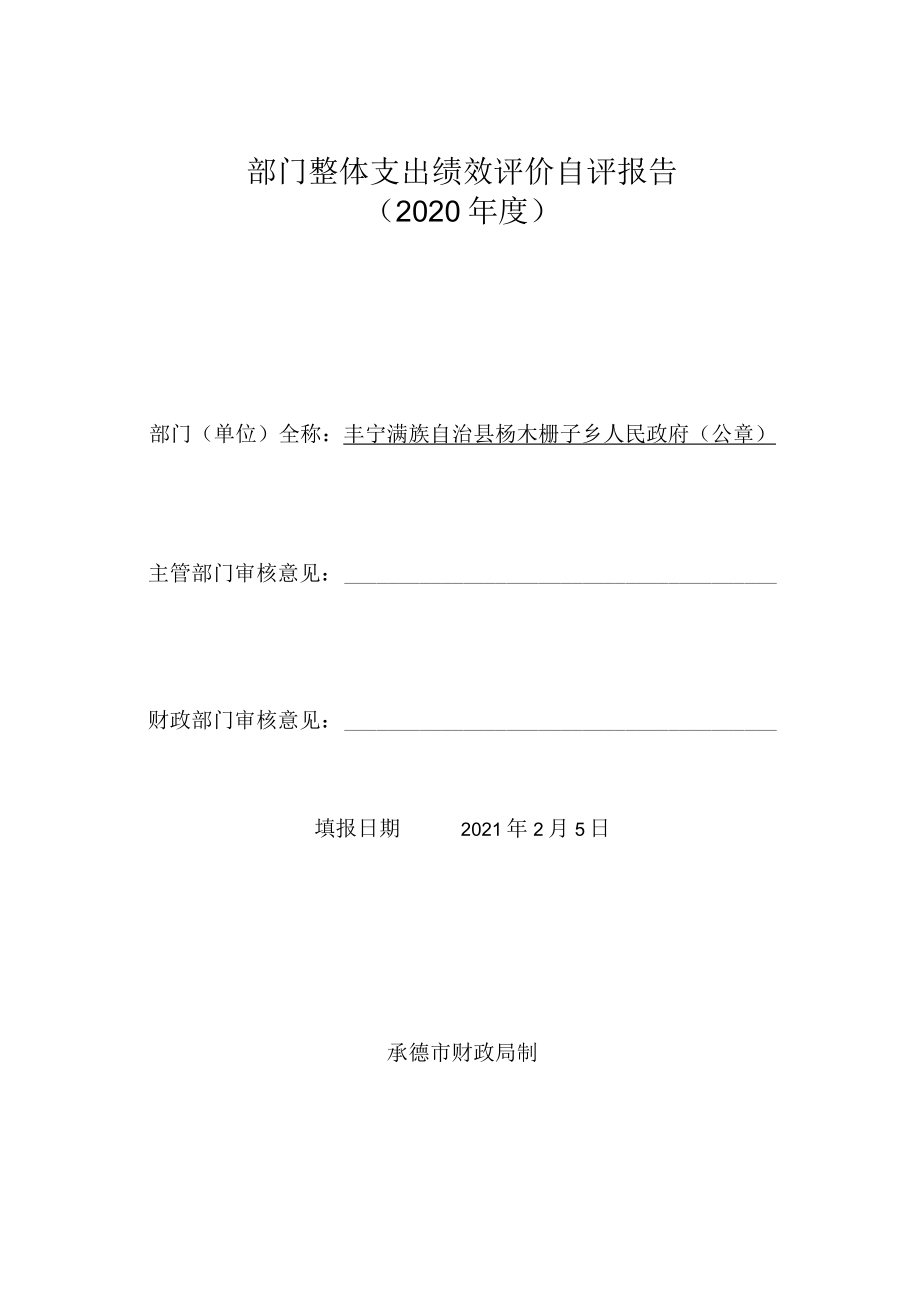 部门整体支出绩效评价自评报告2020年度.docx_第1页