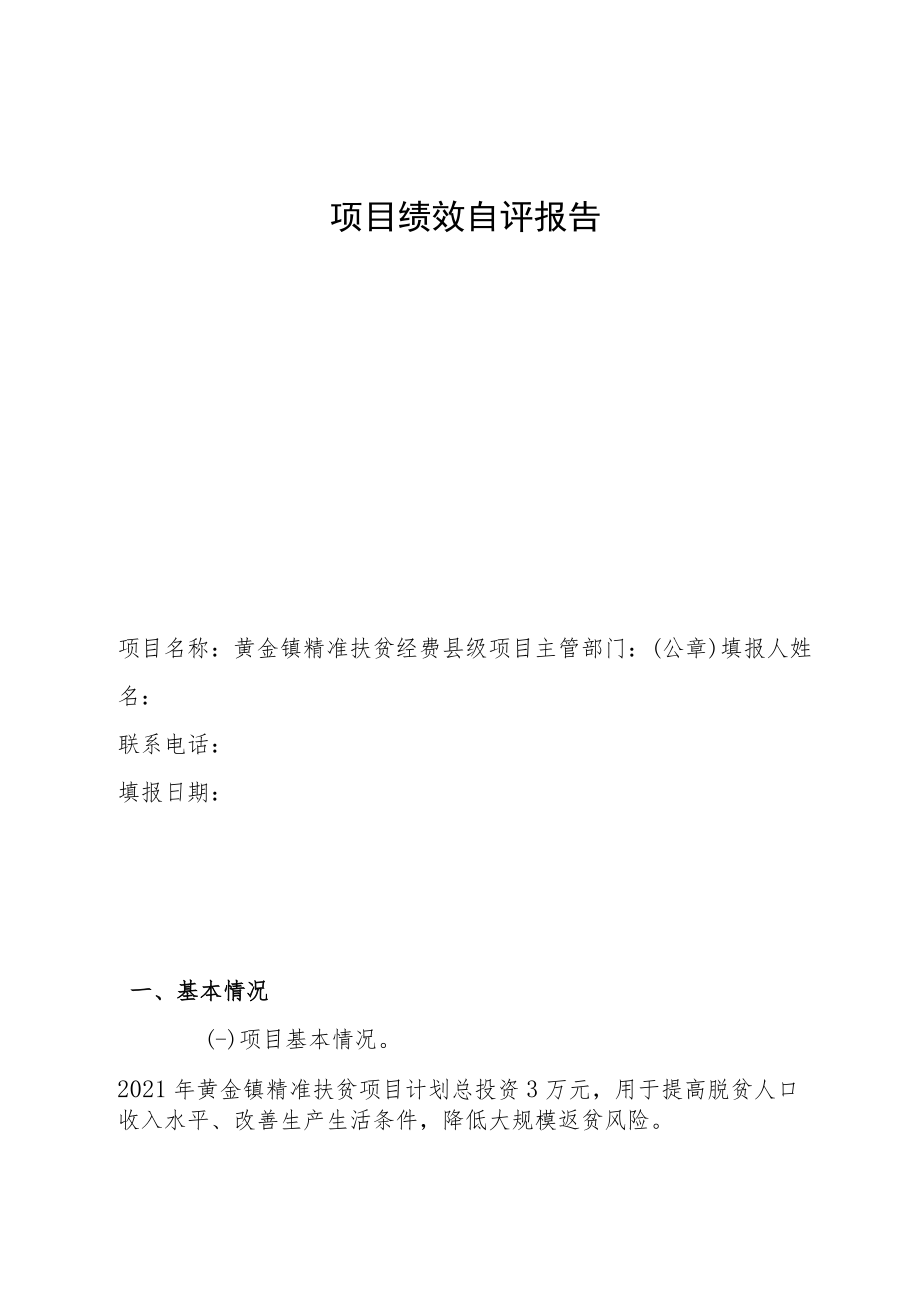 项目绩效自评报告.docx_第1页