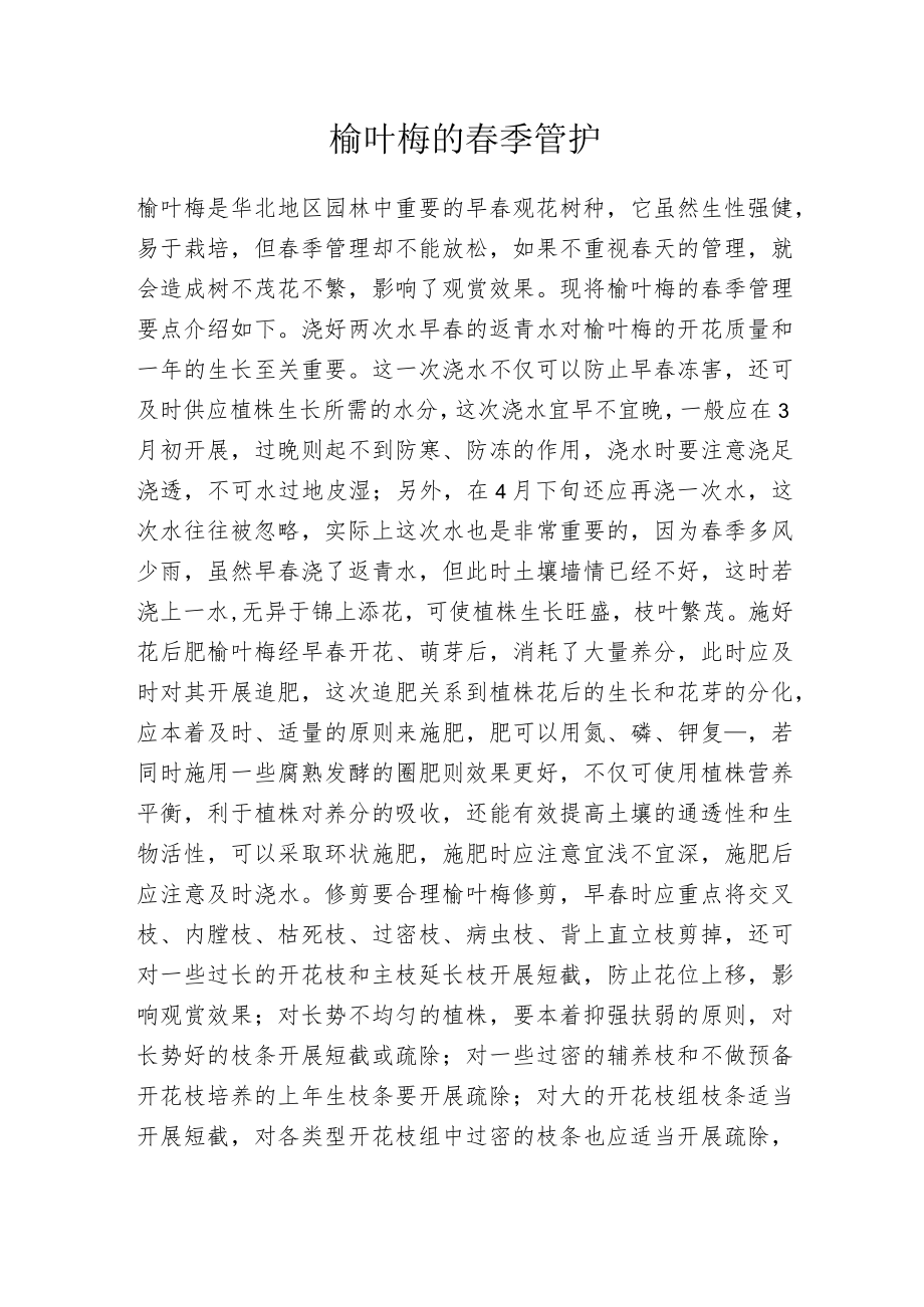 榆叶梅的春季管护.docx_第1页