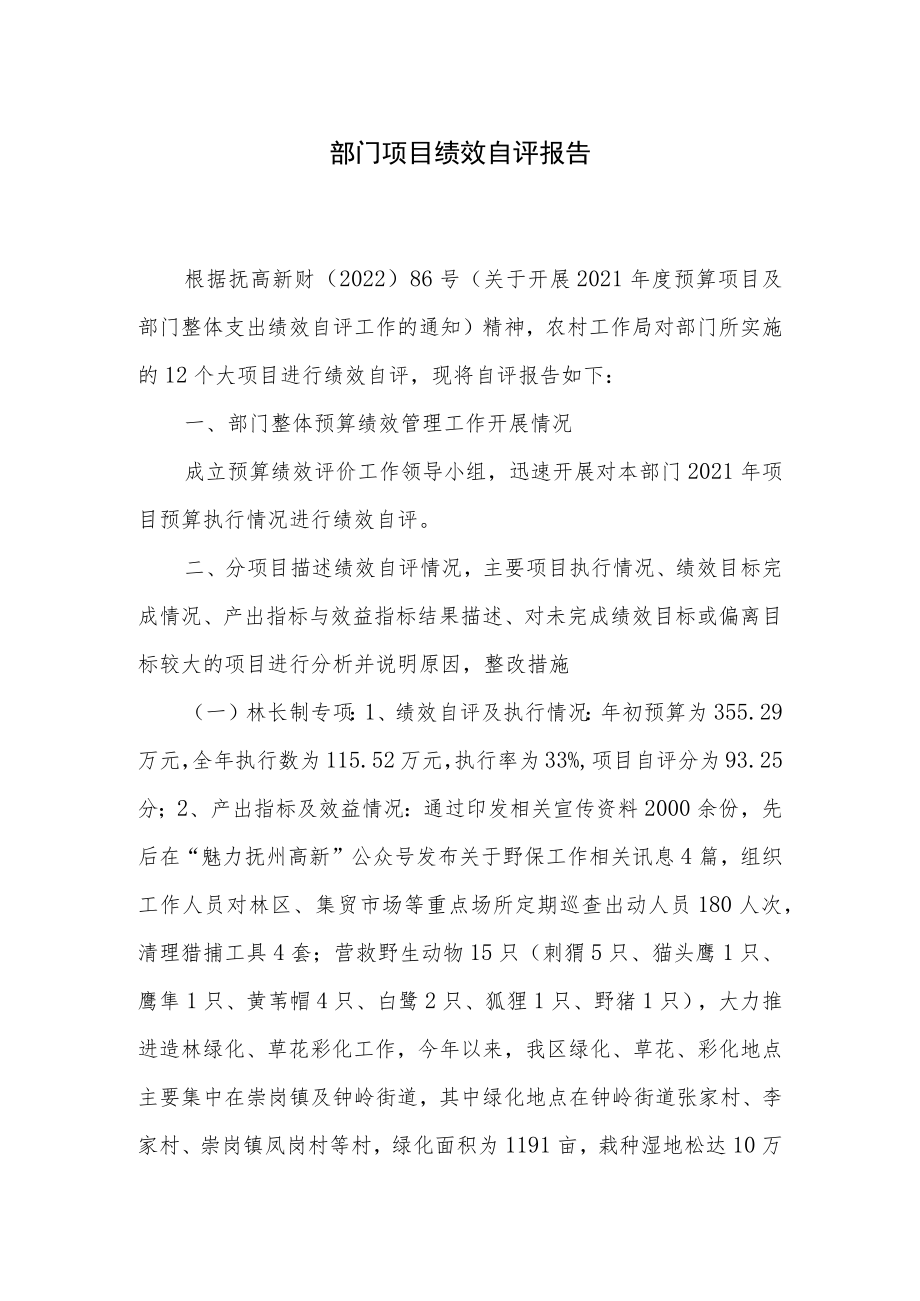 部门项目绩效自评报告.docx_第1页