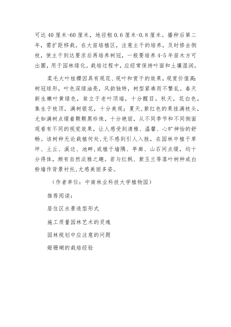 极具前景的柔毛大叶桂樱.docx_第2页