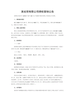 某经贸有限公司债权营销公告.docx