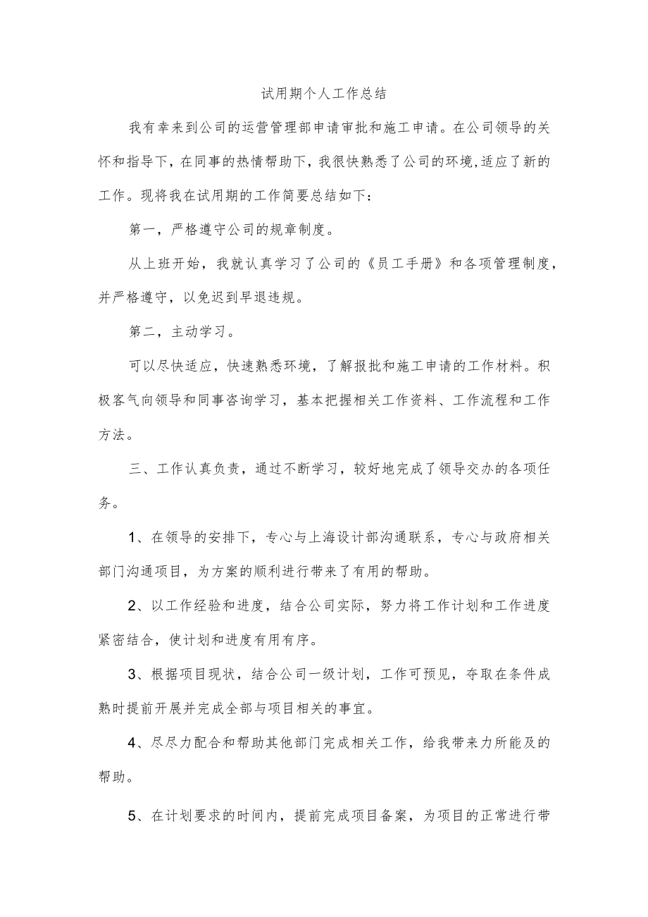 试用期个人工作总结.docx_第1页