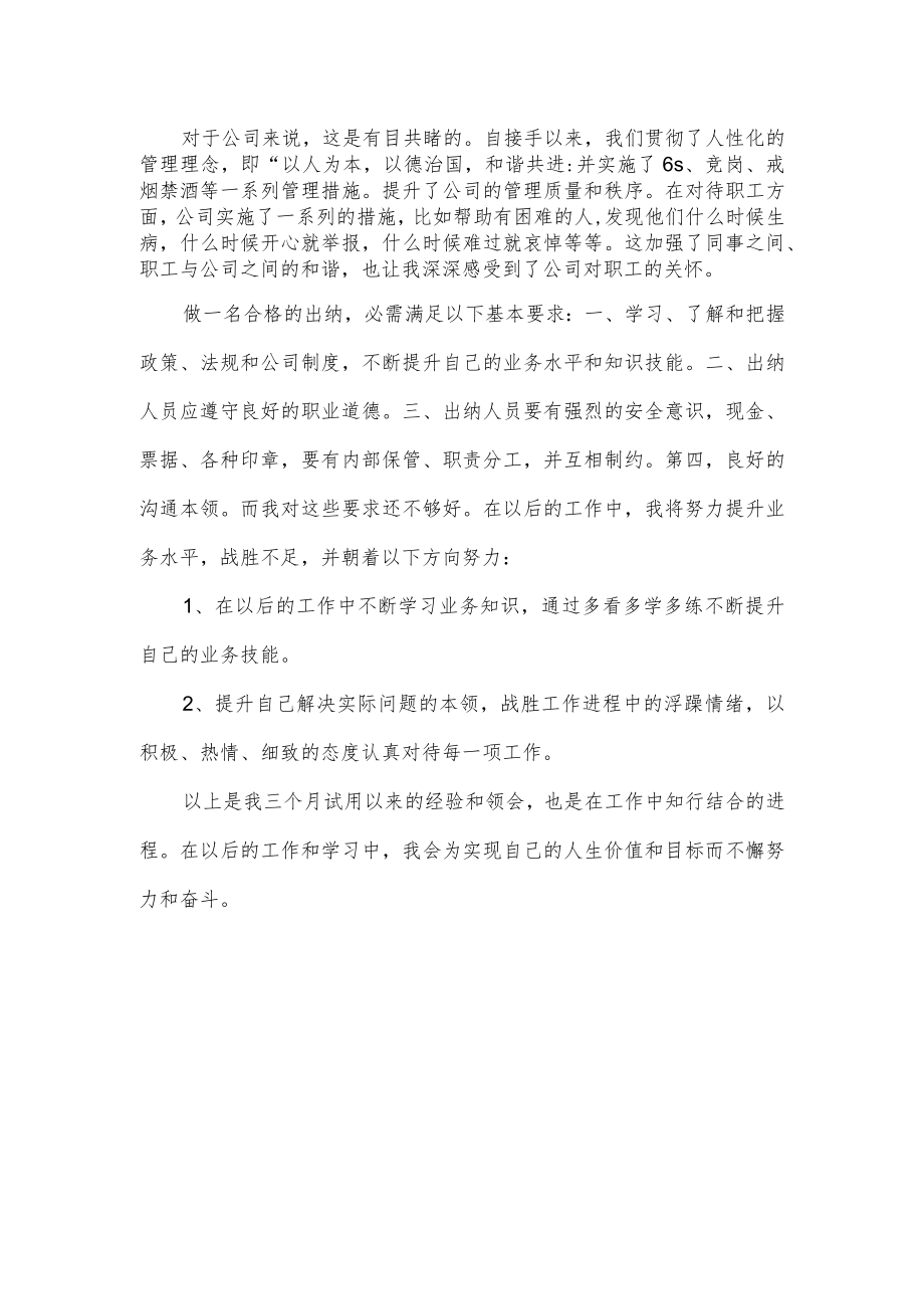 实习出纳心得体会.docx_第2页