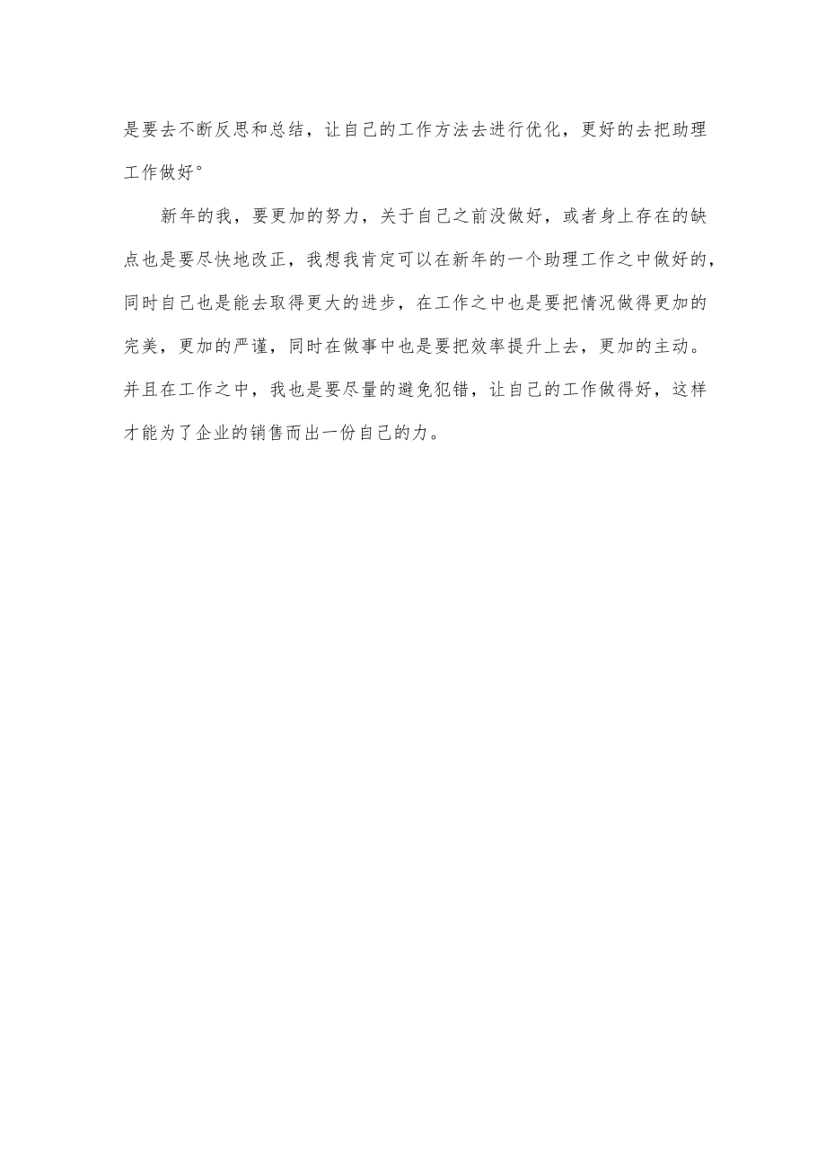 销售助理工作计划.docx_第2页