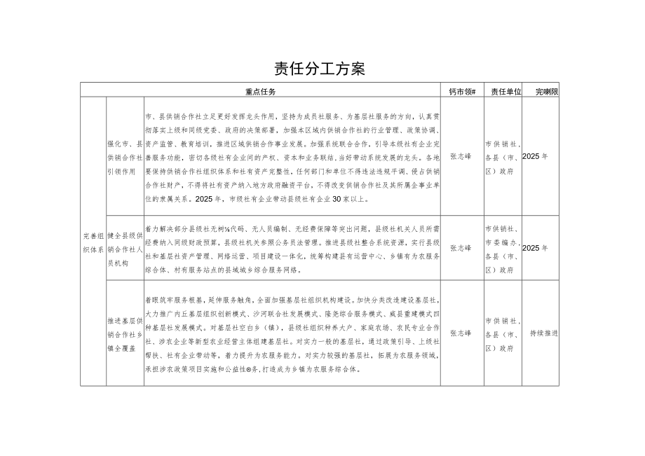 责任分工方案.docx_第1页