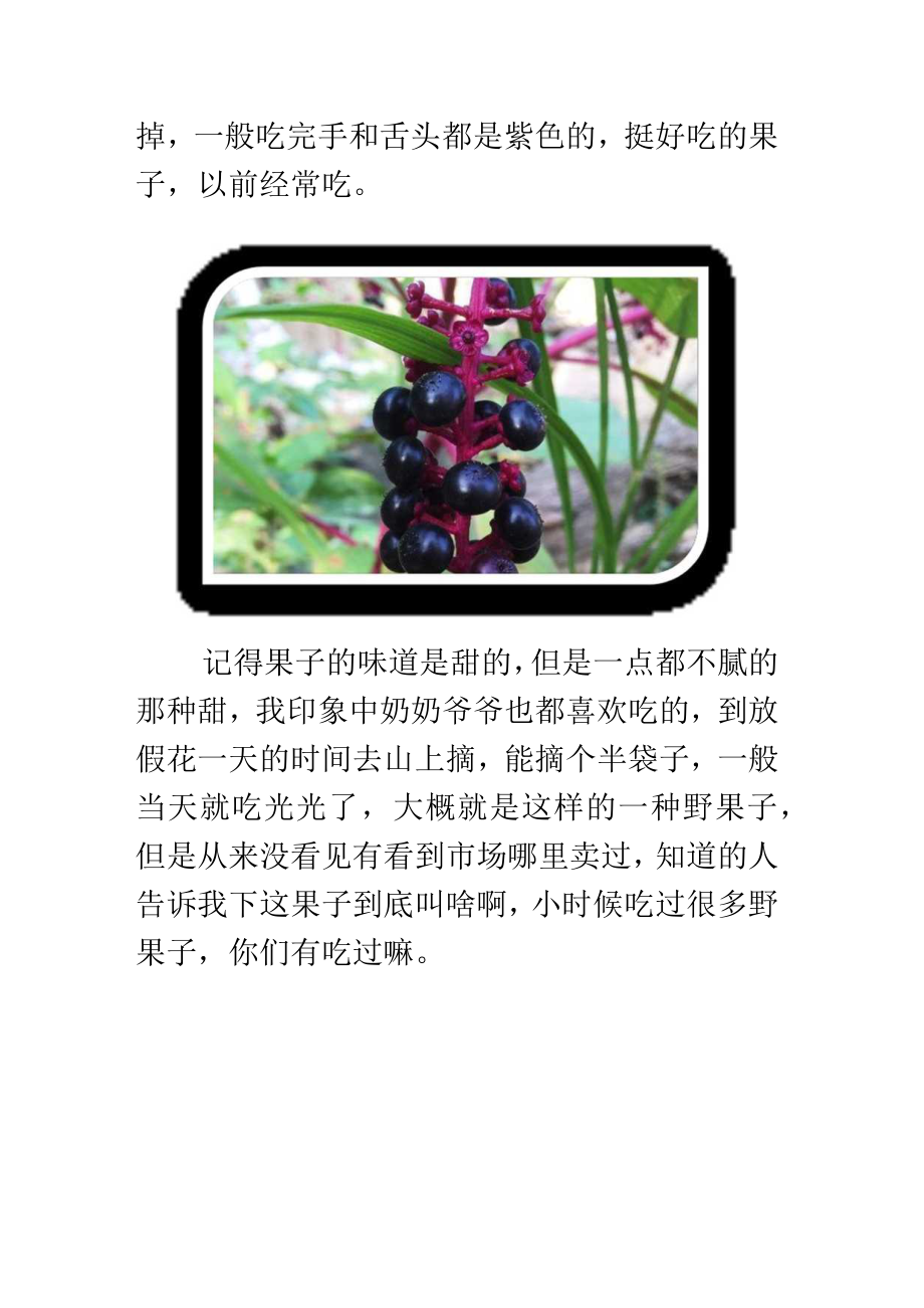 山沟里和琵笆上长满了绿色的和紫色的普通写句子.docx_第2页