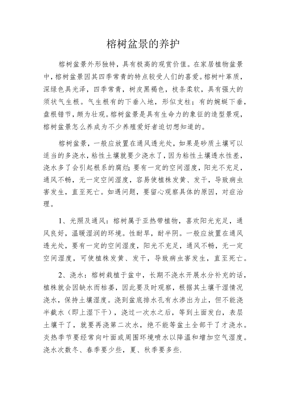 榕树盆景的养护.docx_第1页