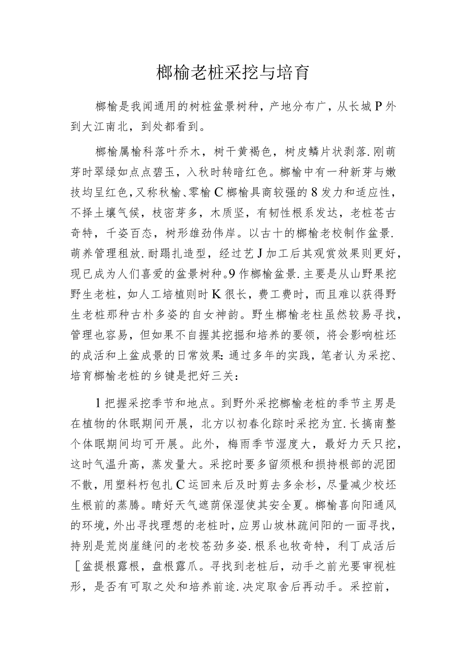 榔榆老桩采挖与培育.docx_第1页