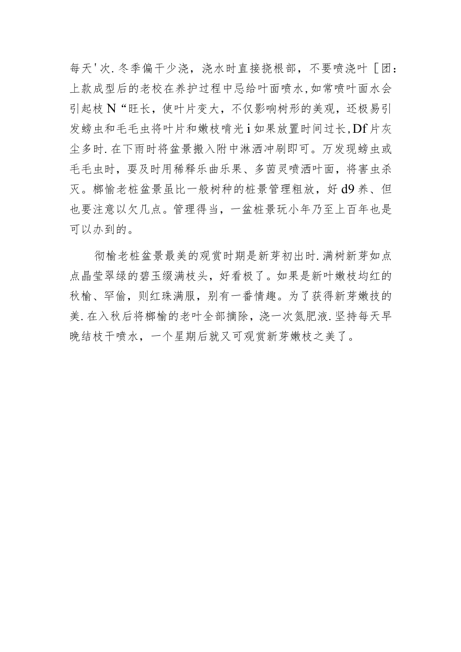 榔榆老桩采挖与培育.docx_第3页