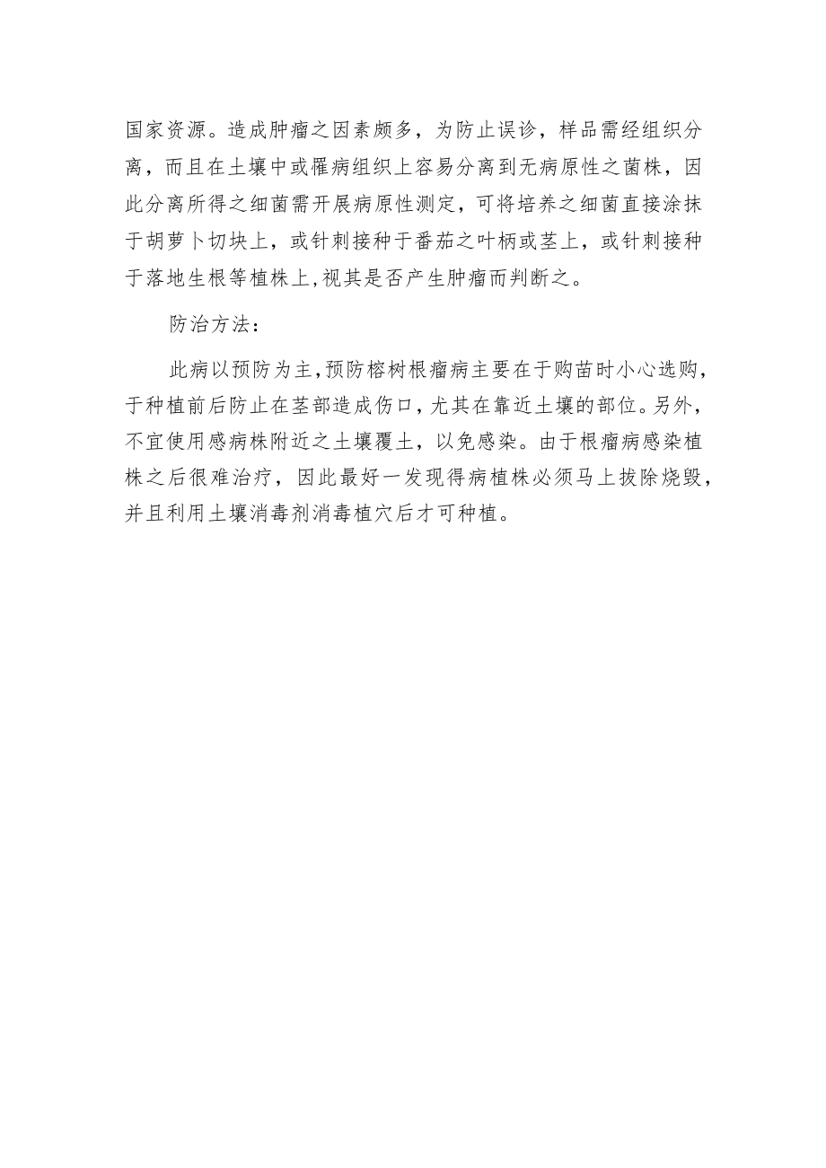 榕树根瘤病的识别与防治.docx_第2页