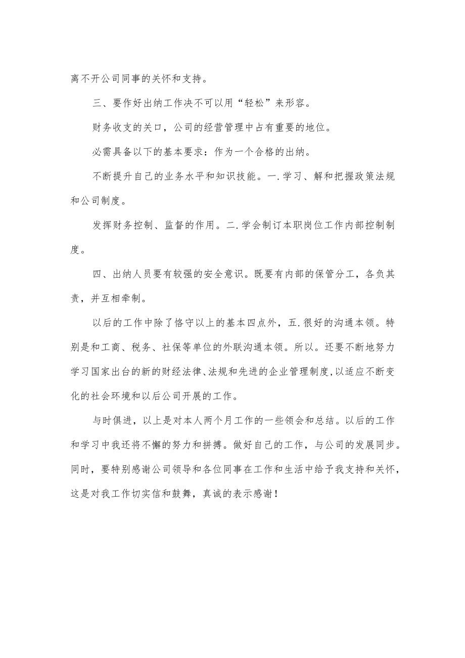 试用期出纳工作总结.docx_第2页