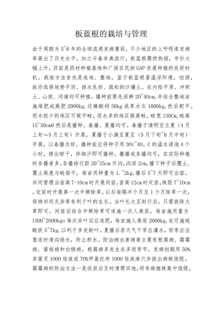 板蓝根的栽培与管理.docx_第1页