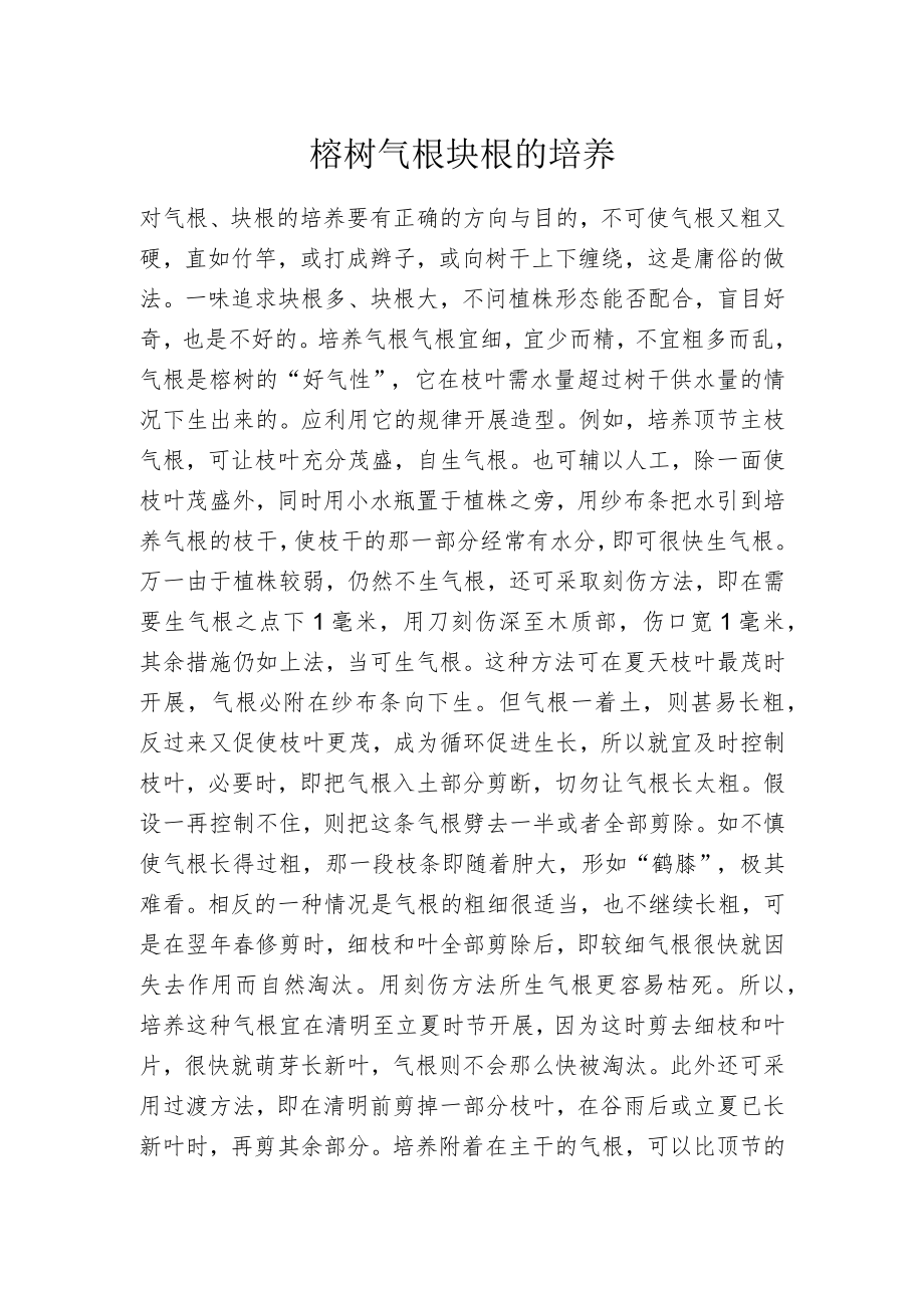 榕树气根块根的培养.docx_第1页