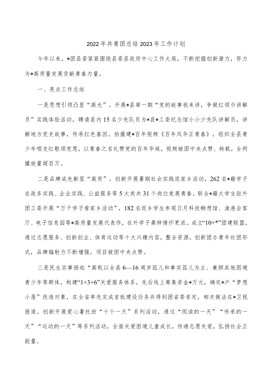 2022年共青团总结2023年工作计划.docx_第1页