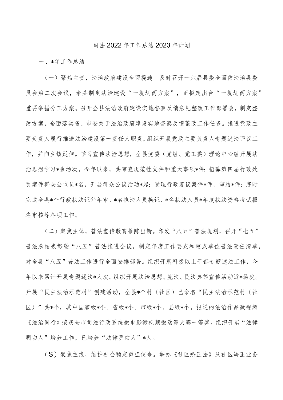 司法2022年工作总结2023年计划.docx_第1页