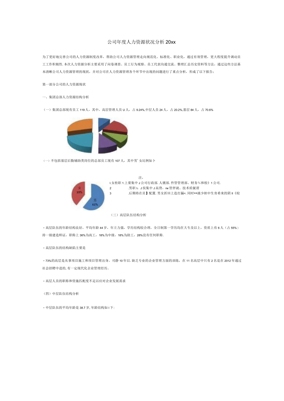 公司年度人力资源状况分析20xx.docx_第1页