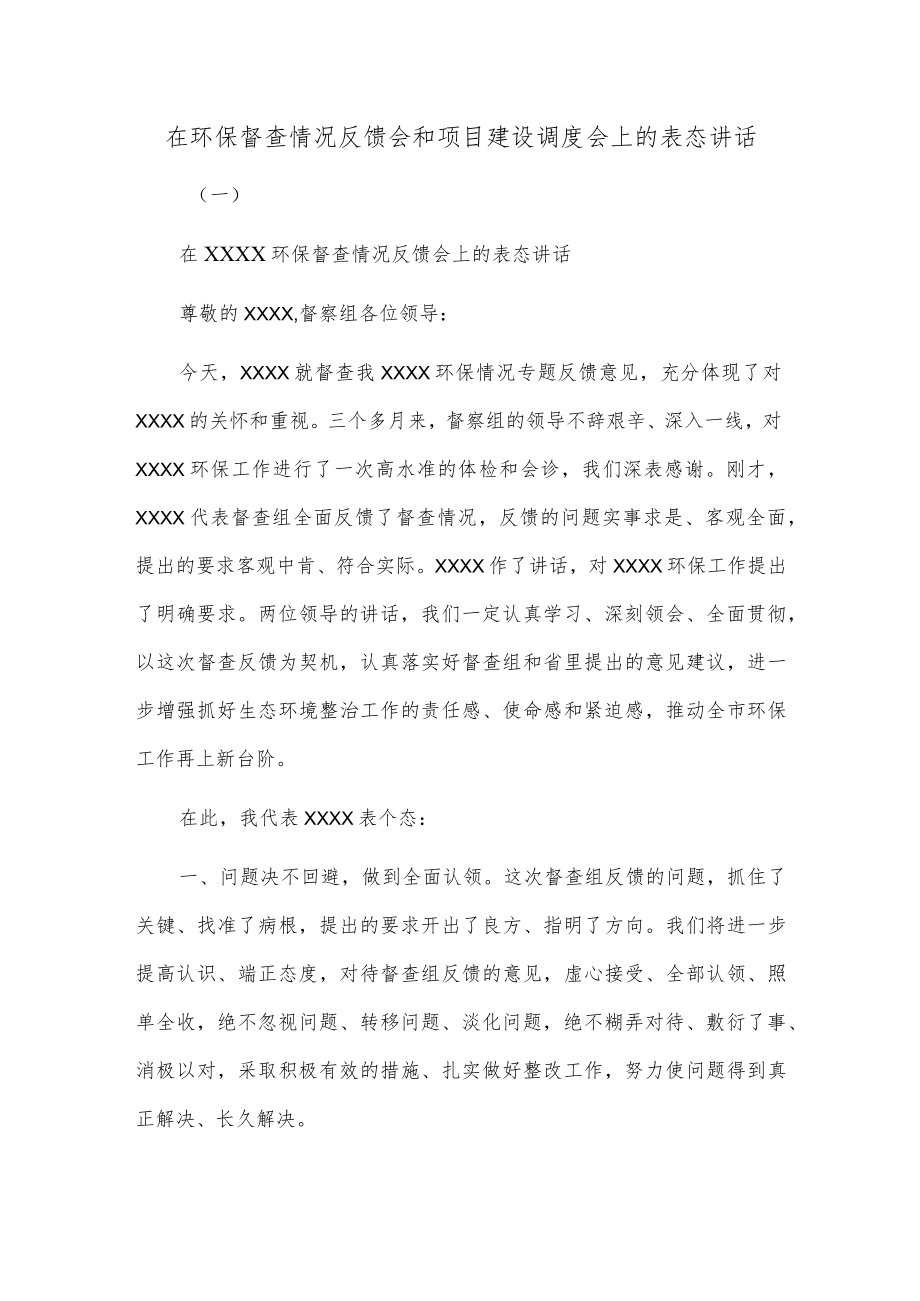 在环保督查情况反馈会和项目建设调度会上的表态讲话.docx_第1页