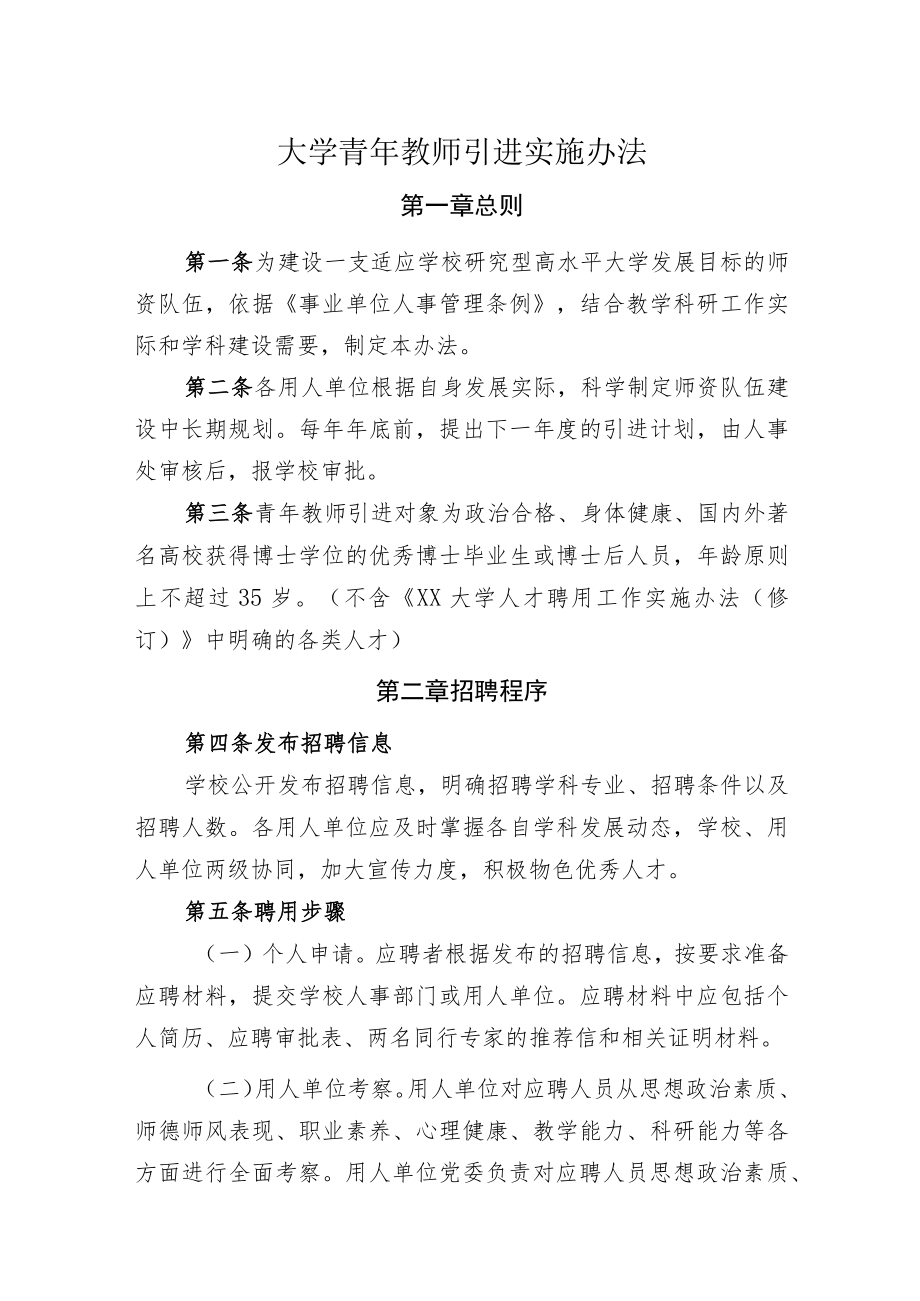 大学青年教师引进实施办法.docx_第1页