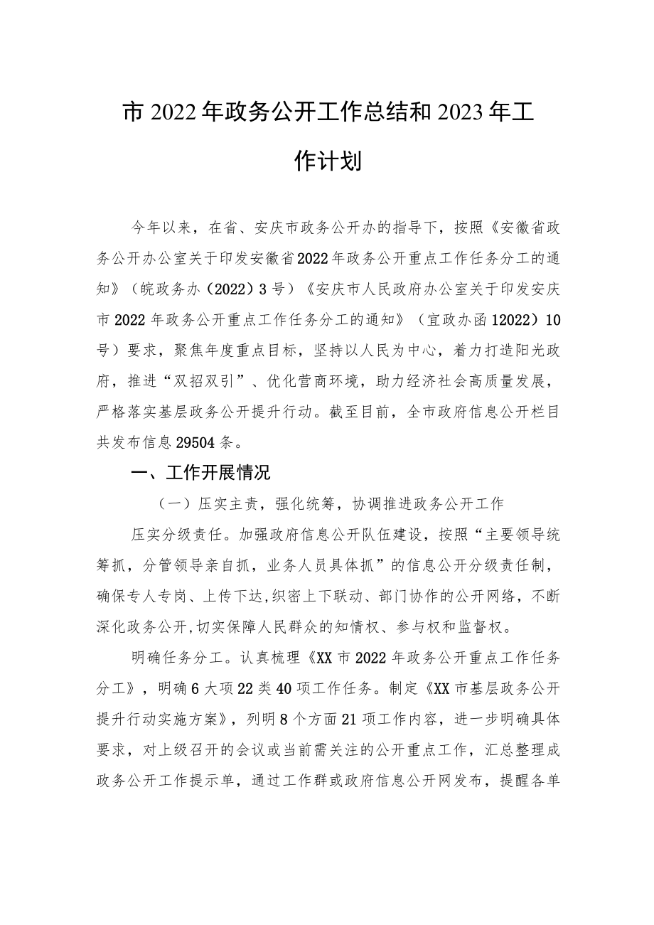 市2022年政务公开工作总结和2023年工作计划.docx_第1页