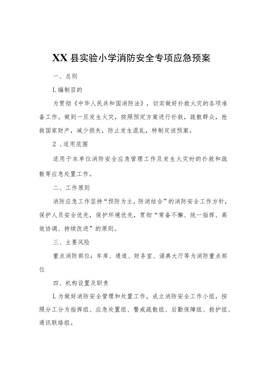 XX县实验小学消防安全专项应急预案.docx_第1页