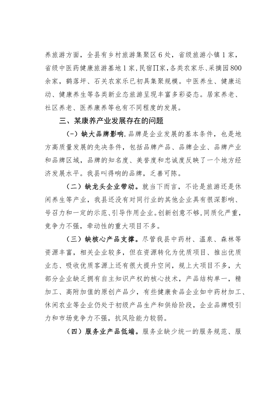 某某县关于全县推进康养产业高质量发展的调研报告.docx_第3页