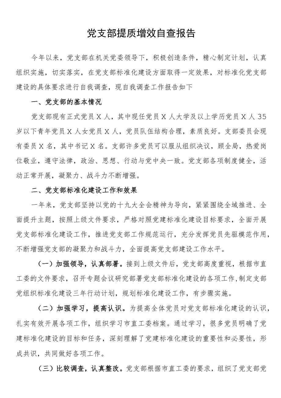 党支部提质增效自查报告.docx_第1页