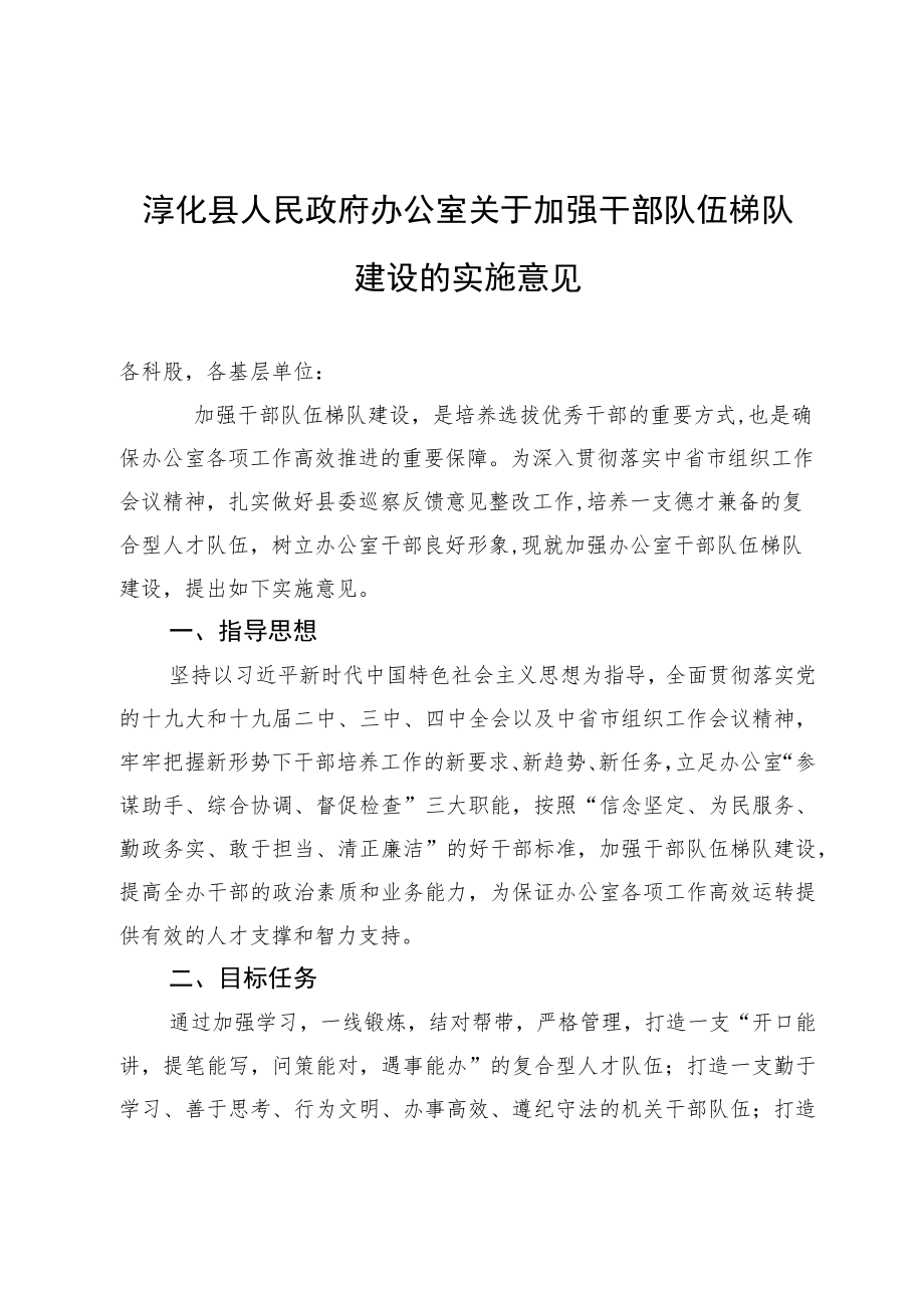 淳化县人民政府办公室关于加强干部队伍梯队建设的实施意见.docx_第1页