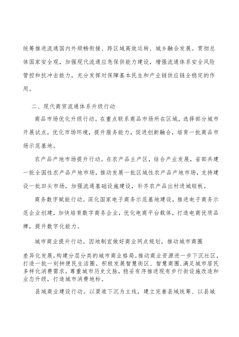 现代商贸流通体系升级行动实施方案.docx_第2页