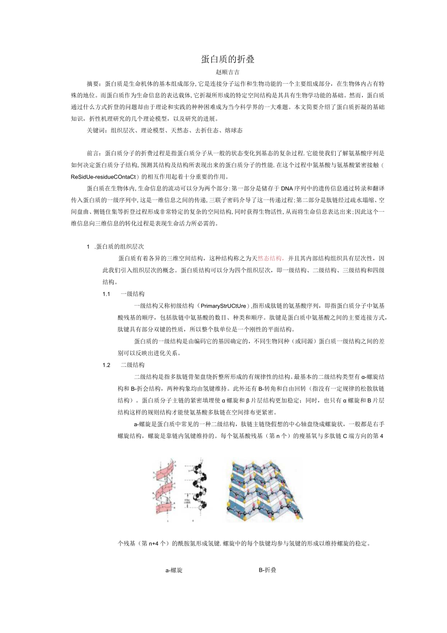 蛋白质的折叠.docx_第1页