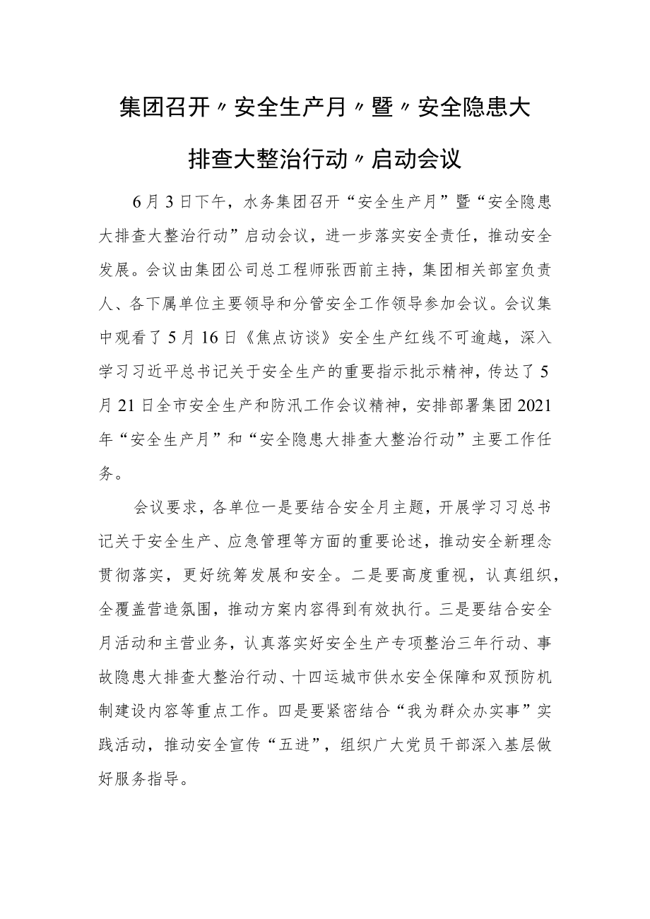 集团召开“安全生产月”暨“安全隐患大排查大整治行动”启动会议.docx_第1页